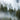 Wald